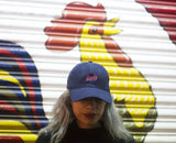 Clásica / Dad Hat Azul Marino